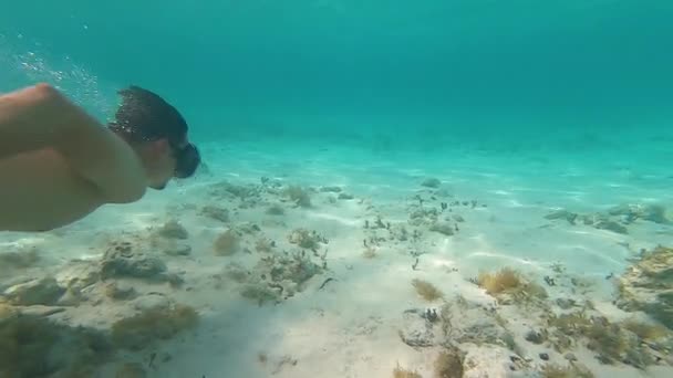 Человек в водолазной маске плавает на дне под водой GoPro Hero7 — стоковое видео