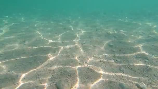 Чистое океанское дно на фоне сияющего солнца GoPro Hero7 — стоковое видео