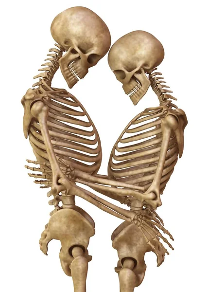 Skeletons of man and woman in the pose of lovers. Isolated on white background 3d illustration — Stock Image Skeletons of man and woman in the pose of lovers. Isolated on white background 3d illustration Royalty Free Stock Photos