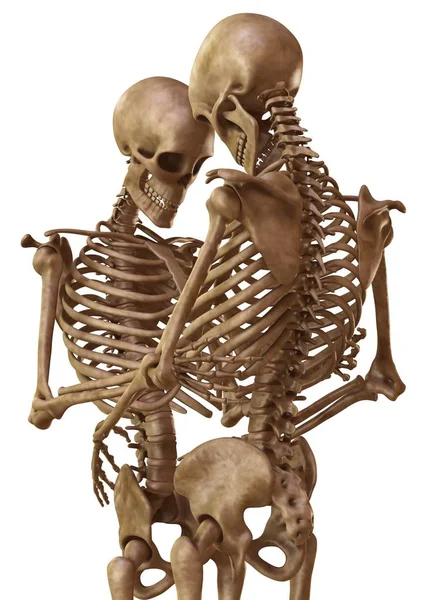 Skeletons of man and woman in the pose of lovers. Isolated on white background 3d illustration — Stock Image Skeletons of man and woman in the pose of lovers. Isolated on white background 3d illustration Stock Image