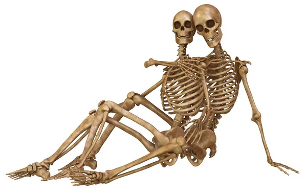 Skeletons of man and woman in the pose of lovers. Isolated on white background 3d illustration — Stock Image Skeletons of man and woman in the pose of lovers. Isolated on white background 3d illustration Stock Picture