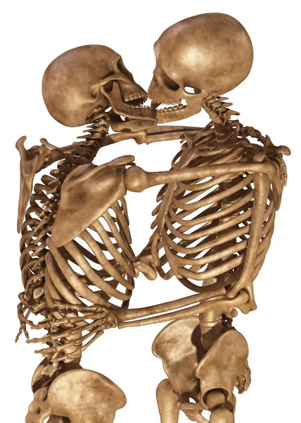 Skeletons of man and woman in the pose of lovers. Isolated on white background 3d illustration — Stock Image Skeletons of man and woman in the pose of lovers. Isolated on white background 3d illustration Stock Image