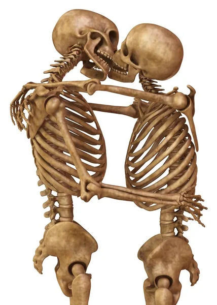 Skeletons of man and woman in the pose of lovers. Isolated on white background 3d illustration — Stock Image Skeletons of man and woman in the pose of lovers. Isolated on white background 3d illustration Royalty Free Stock Images
