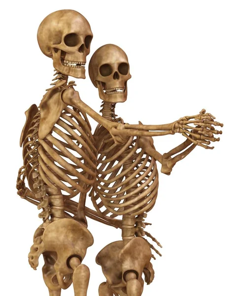 Skeletons of man and woman in the pose of lovers. Isolated on white background 3d illustration — Stock Image Skeletons of man and woman in the pose of lovers. Isolated on white background 3d illustration Royalty Free Stock Images