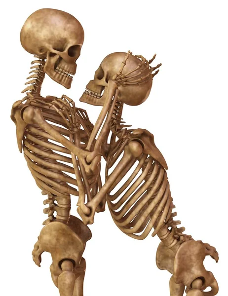Skeletons of man and woman in the pose of lovers. Isolated on white background 3d illustration — Stock Image Skeletons of man and woman in the pose of lovers. Isolated on white background 3d illustration Stock Photo
