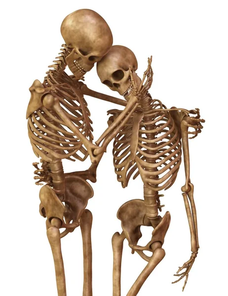 Skeletons of man and woman in the pose of lovers. Isolated on white background 3d illustration — Stock Image Skeletons of man and woman in the pose of lovers. Isolated on white background 3d illustration Royalty Free Stock Photos
