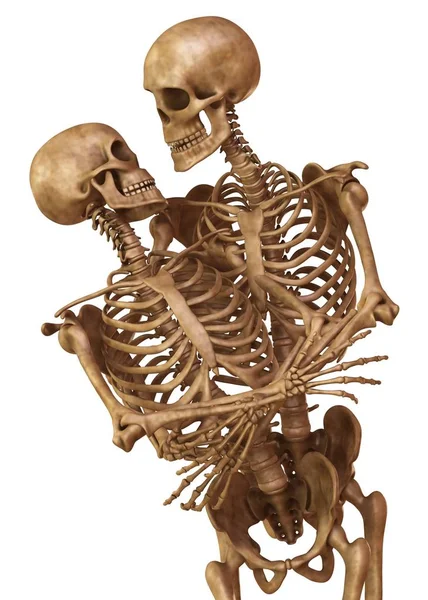 Skeletons of man and woman in the pose of lovers. Isolated on white background 3d illustration — Stock Image Skeletons of man and woman in the pose of lovers. Isolated on white background 3d illustration Royalty Free Stock Images