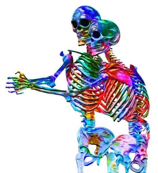 Skeletons of man and woman in the pose of lovers in multicolored abstract style illustration Isolated on white background — Stock Image Skeletons of man and woman in the pose of lovers in multicolored abstract style illustration Isolated on white background Royalty Free Stock Photos