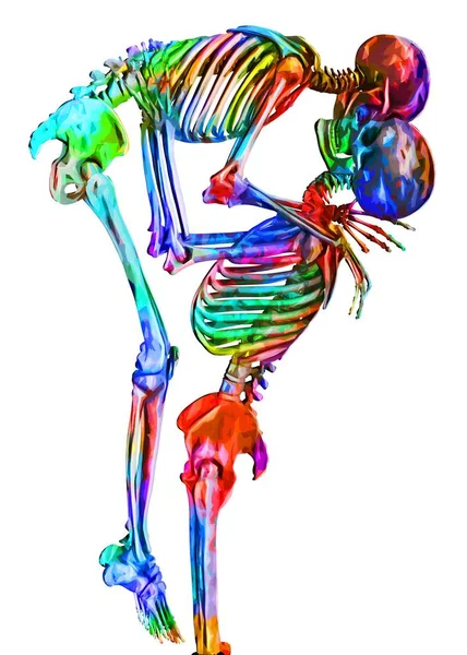 Skeletons of man and woman in the pose of lovers in multicolored abstract style illustration Isolated on white background — Stock Image Skeletons of man and woman in the pose of lovers in multicolored abstract style illustration Isolated on white background Stock Photo