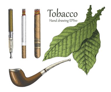 Tütün koleksiyonu el Vintage tarzı çizimi