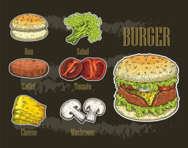 Burger el çizimi vintage tarzı, Burger bileşenleri, Burger renk boyama izole