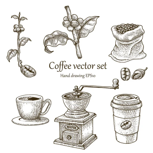 Zestaw Kawa Wektor Rysunek Styl Vintage — Zdjęcie stockowe