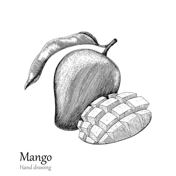Mango Mano Dibujo Grabado Estilo — Foto de Stock