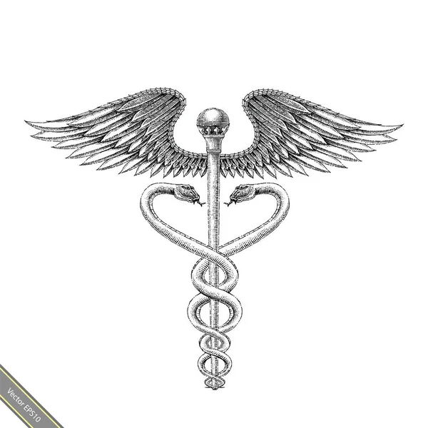 Simbolo Medico Mano Disegno Vintage Style Aesculapius Mano Disegno Incisione — Foto Stock