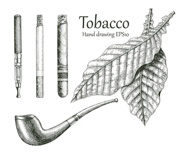 Collezione Tabacco Mano Disegno Stile Vintage — Foto Stock