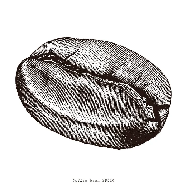 Kaffe Bean Hand Ritning Gravyr Illustration — Stockfoto