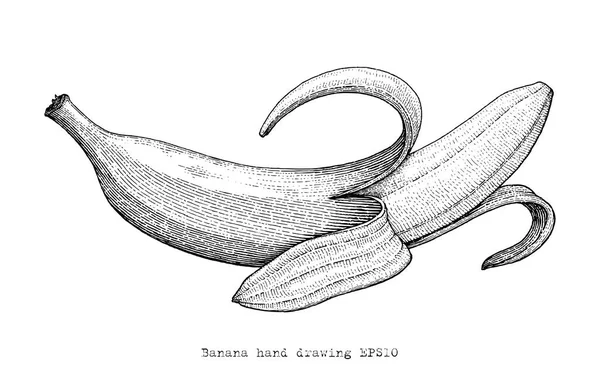 Banana Mão Desenho Gravura Estilo Banana Clipart Preto Branco — Fotografia de Stock