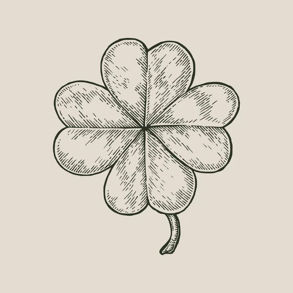 Clover Leaf Hand Tekenen Vintage Stijl Isoleren Witte Achtergrond Happy — Stockfoto