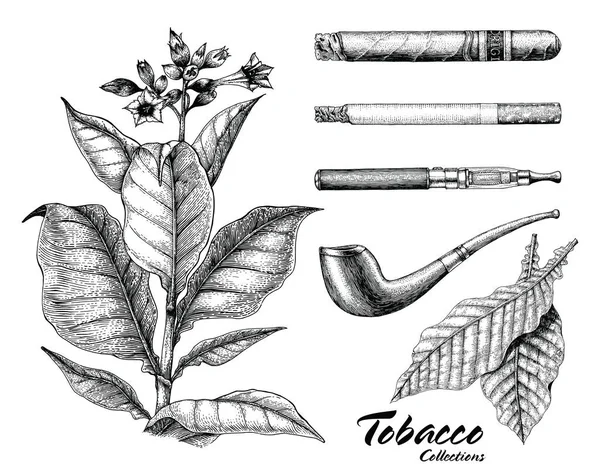 Tabac Collection Dessin Main Style Vintage — Photo