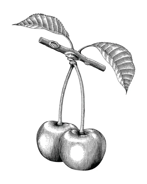 Cherry Hand Drawing Vintage Engraving Illustration — Stock Photo, Image