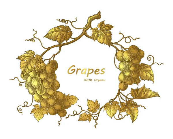 Grapes Frame Mano Disegno Vintage Incisione Illustrazione Con Colore Oro — Foto Stock