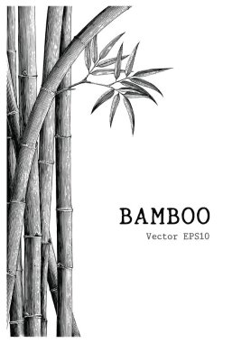 Bambu arka plan el oyma stil çizimi
