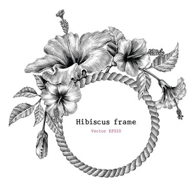 Hibiscus çiçek çerçeve el Vintage küçük resim çizimi