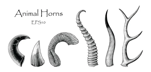 动物角矢量集手绘复古雕刻插图 — 图库照片