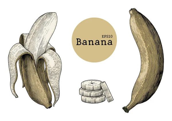 香蕉集手画复古雕刻插图 — 图库照片