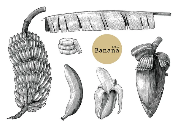 Banan Kolekcja Ustawia Vintage Grawerowanie Ilustracja — Zdjęcie stockowe