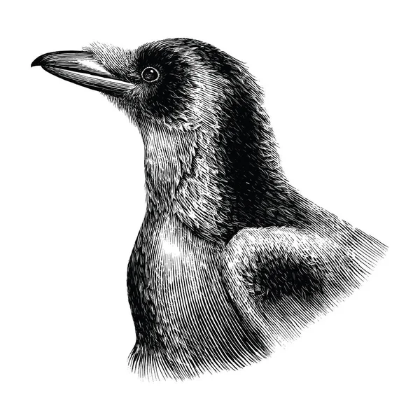 Karga çizim vintage tarzı el