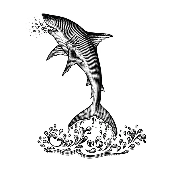 Shark jumping hand drawing vintage style