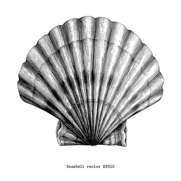 Clip Vintage Seashell Art — Foto Stock