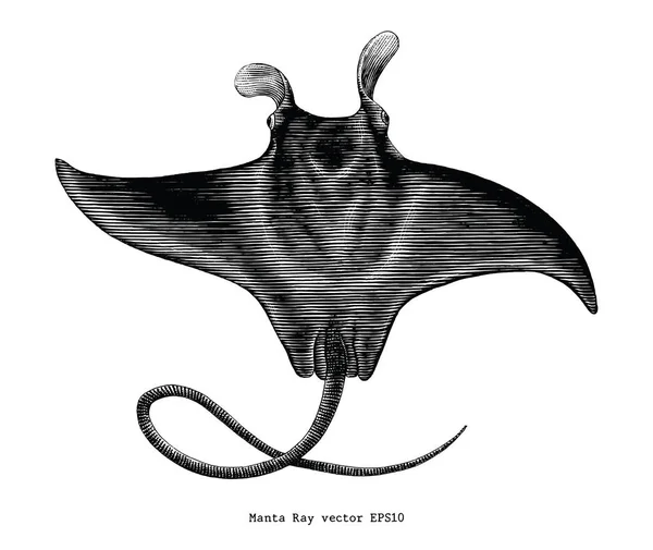 Manta Ray Vintage Clipart — Stockfoto