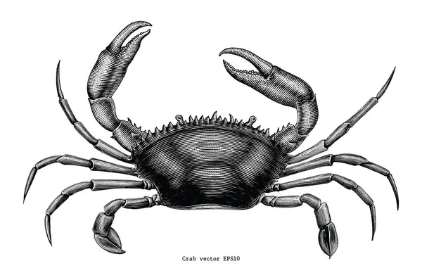 Crab Mão Desenho Vintage Clip Arte — Fotografia de Stock