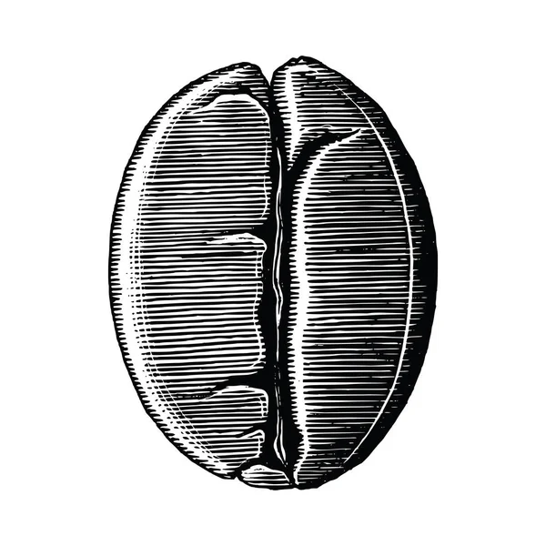 Grão Café Mão Desenho Vintage Clip Arte Isolada Fundo Branco — Vetor de Stock