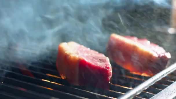 ジューシーな肉ステーキのロースト。炎と煙がゆっくりと動きます。バーベキューグリル ロイヤリティフリーのストック動画