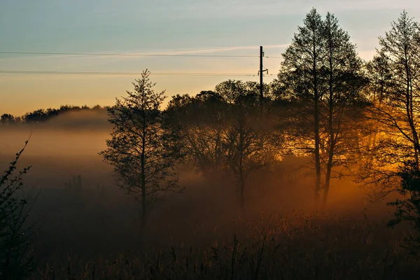 Mañana Brumosa Región Kiev — Foto de Stock