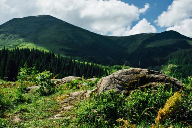 Karpat Dağları 'ndaki manzara.