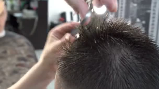 Hairdresser Cuts Hair Top Man Head Barber Shop Hair Care — Stock Video