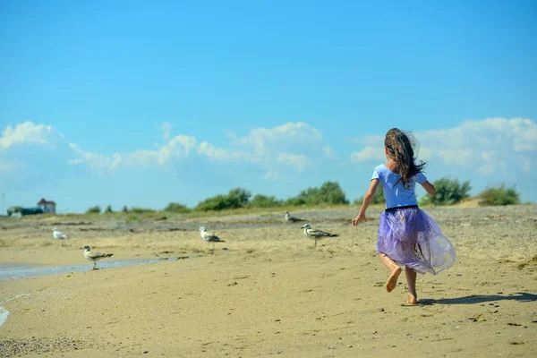 보라색 드레스 화창한 날에는 해변을 모래에 갈매기를 이미지의 — 스톡 사진