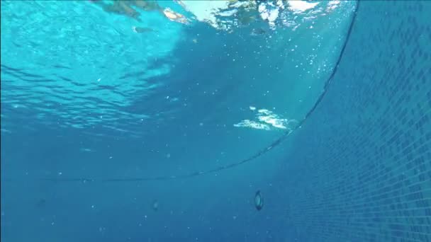東洋人がプールで水に飛び込みます 水の下で 彼は彼の手を振り 笑みを浮かべてカメラに見えます 水中撮影のアクション カメラ Fps — ストック動画