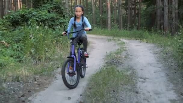 Niño Aprende Andar Bicicleta Muchacha Tarde Que Monta Una Bici — Vídeos de Stock