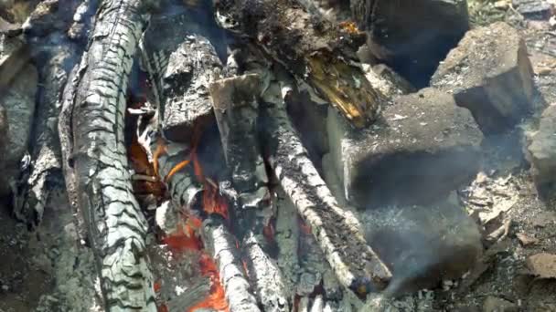 木の丸太は オレンジ色の炎を石の間で書き込み 石炭に変えます バーベキューの準備 クローズ アップの火 Fps — ストック動画