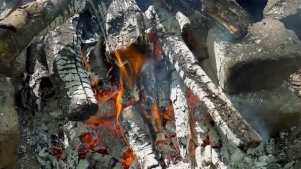 Llama Primer Plano Madera Ardiendo Entre Las Rocas Con Llamas — Vídeos de Stock