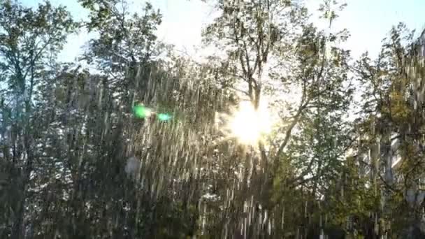 ウォーター ジェットの音楽のリズムで都市公園の夕日に対して噴水飛ぶから Fps — ストック動画