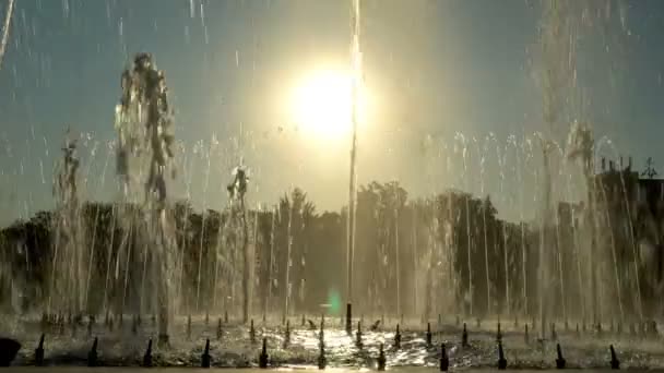 夕暮れ市大噴水 ウォーター ジェットの多くは 都市公園で太陽に対して空に飛ぶ Fps — ストック動画