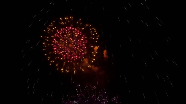 Saluden Ciudad Cielo Nocturno Espectáculo Fuegos Artificiales Fondo Negro Destellos — Vídeo de stock