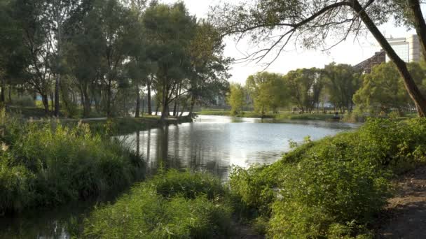 Schöne Aussicht Auf Den Fluss Die Stadtpromenade Und Grüne Bäume — Stockvideo