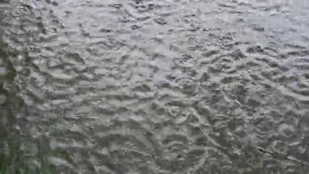 Краплі Дощу Потрапляють Брудну Воду Похмурий Осінній День Вид Зверху — стокове відео